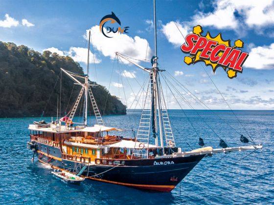 【Limited Promotion】Cendrawasih Bay Dune Aurora 12D9N Liveaboard - Fixed Date Departure