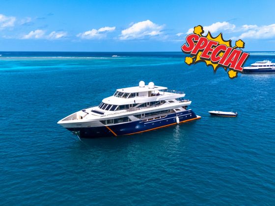 【Limited Promotion】Maldives Dune Black Manta Luxury Liveaboard 9D7N - Fixed Date Departure