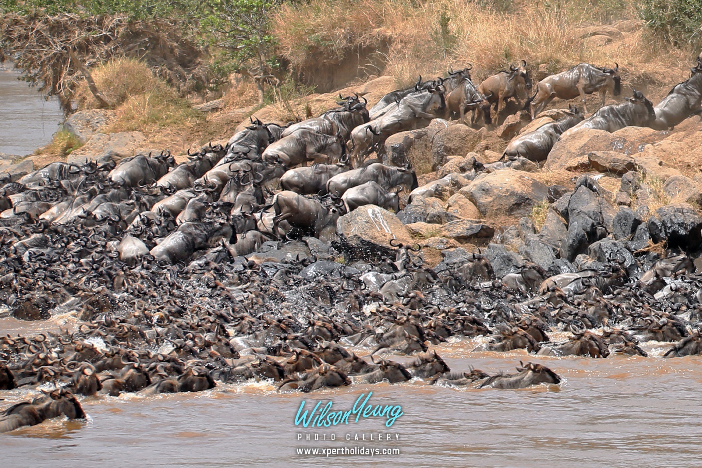 2027-08-09 Tanzania The Great Migration 6N - Travel with Xpert Buddy